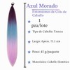 Extensiones de Cabello para Trenzas 60 cm,MoradoClaroAzul lago (1PCS)