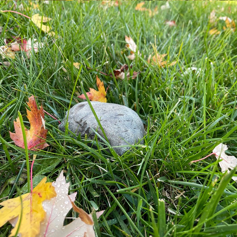 Pangaea Hide-a-Spare-Keyフェイクロック - 本物の石のように見える - 屋外ガーデンや庭、ジオキャッシングに安全 1 Pack