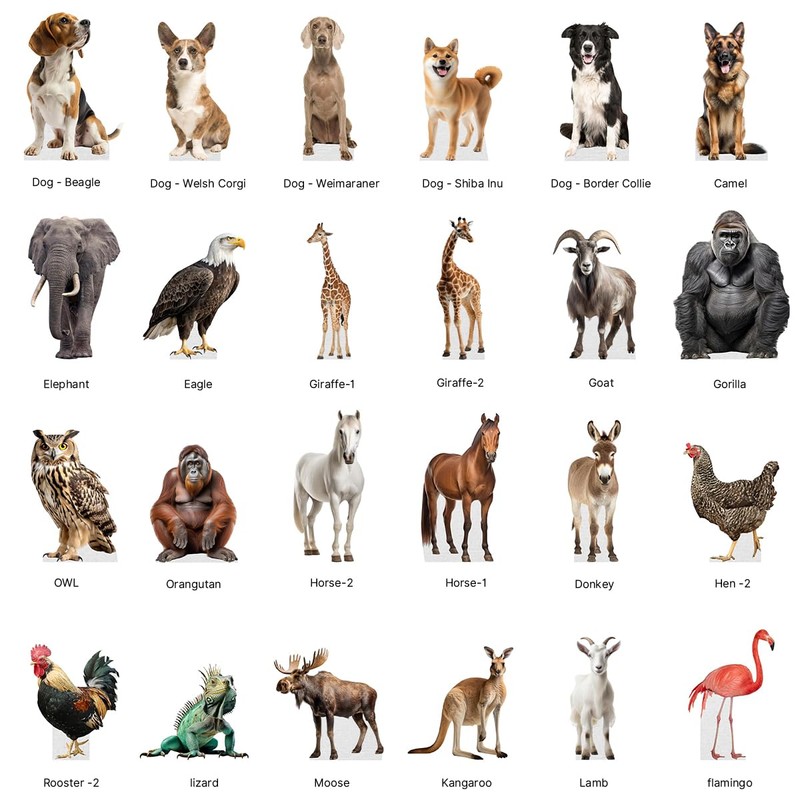 Donkey - Life Size Cardboard Cutout Standup People with Support