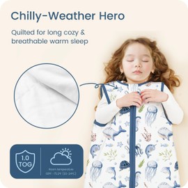 TOTBASIC 1.0 TOG Toddler Sleep Sack, Wearable Blanket Baby Sleeping Bag with 2-way Safe Zipper, Ultra Soft All Season Sleep Sack for 24-36-48 Months, 1 Pack(Night Sky)