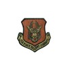 US Air Force Reserve Command OCP Spice Brown Patch with