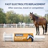 VetSet RechargeR Horse Electrolyte Paste 2 x 30ml Syringes