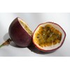 Passiflora 'Frederick' - Edible Purple Passion Flower Fruit Vine -