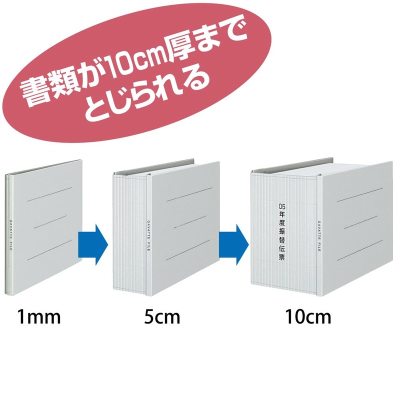 Kokuyo gabattofairu , grays