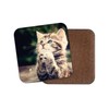 1 x Adorable Kitten Drinks Coaster - Cats Animal Mum