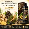 Hair Dye Shampoo 4 en 1 Fórmula Suave Ingredientes Naturales