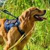 OneTigris Fire Watcher Tactical Dog Harness, MOLLE Safety Harness, Service