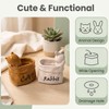 Cute Small Succulent Planter Set, 2-Pack Ceramic Garden Pots