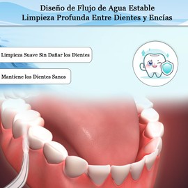 Compatibles con el Irrigador Oral y el Hilo Dental Para Waterpik, Para Waterpik Cabezales de Repuesto, Puntas de Repuesto para Waterpik Water Flosser, Puntas para Quitar Placas de Agua para Waterpik, Compatibles con el Irrigador Oral y el Hilo Dental par