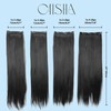 CAISHA XXL 24" 4 pcs Full Head Set Clip in