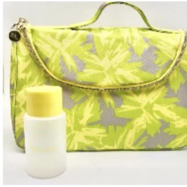 Estée Lauder Estee Lauder Cosmetic Bag & travel SZ Bottle Yellow Green Cosmetics Bag Zipper !