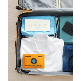 wisedry 100g [5 Packs] Reusable Desiccant Packs for Storage, Rechargeable Color Indicating Silica Gel Desiccant Packets, Moisture Absorbers for Storage Bins, Suitcase, Safe, 3D Filaments, Electronics