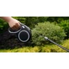 Retractable Dog Leash, 30 FT/ 20 FT Dog Walking Leash