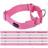 Mikivery Martingale Dog Collar Nylon Adjustable and Safety Choke Training