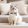 2-Pack Footprint & Reflective Cat Collar with QR Code Smart