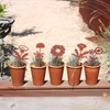 STEELDECO Garden Picks Plant Container - Powder Paint Coating -