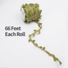 tenn well 2 Rolls Leaf Ribbon, 66 Feet Green Ribbon