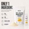 Creatine Monohydrate Powder Sachets 5g |14 Sachets Mango Vegan Supplement