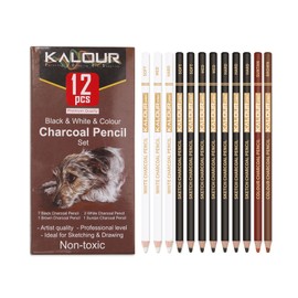VINSPIRE 12-Piece Mixed Charcoal Pencils Set - Black, White, and Colored Charcoal Pencils for Sketching, Shading, and Portrait Drawing, Art Supplies for Beginners and Professionals