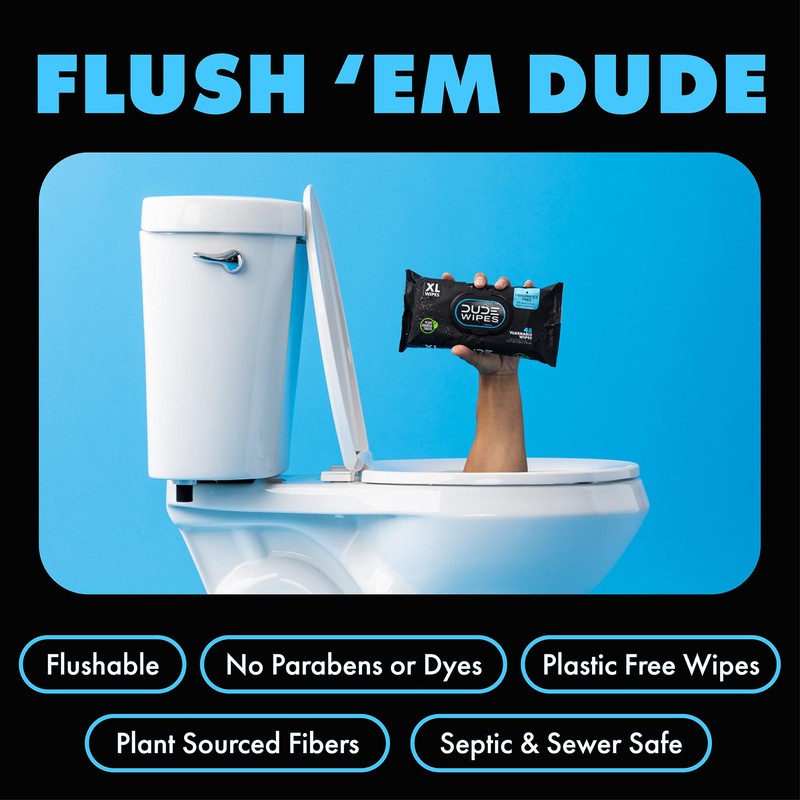 DUDE Wipes - Flushable Wipes - 8-Pack, 384 Count -