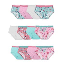 Fruit of the Loom Toddler Girls' Tag-Free Cotton Underwear, Hipster-12 Pack-Assorted Colors