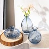 ATDORO 3 Pcs Mini Bud Vases, Clear Bud Vases for