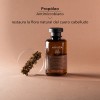 Apivita Shampoo anticaspa para cuero cabelludo graso 250ml