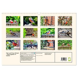 Herr und Frau Gimpel - Stammgäste im Garten (Wandkalender 2026 DIN A3 quer), CALVENDO Monatskalender
