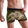 ZZKKO Monkey Mens Boxer Briefs Underwear Breathable Stretch Boxer Trunk