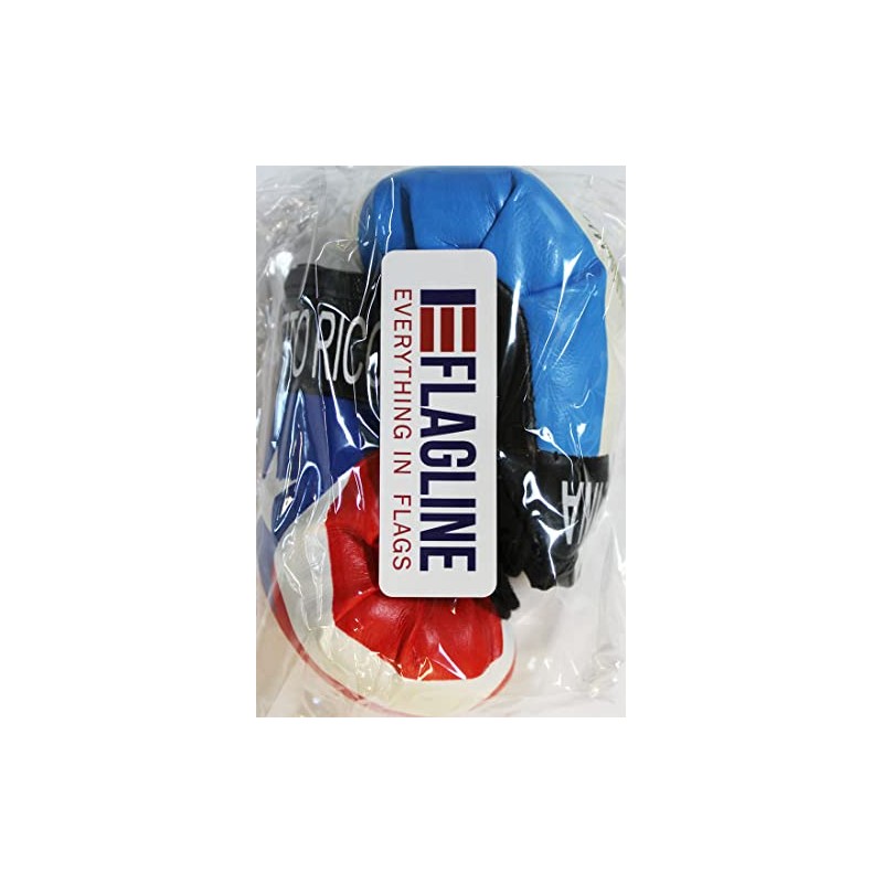 Puerto Rico and Argentina - Mini Boxing Gloves
