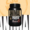 Animal Animal Whey Isolate Protein Powder - Loaded for Pre