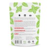 Mighty Mint Natural Rodent Repellent Pouches - 12 Count