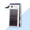 BL Lash Super Flat Flat Cap Deep Brown Eyelashes C