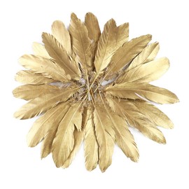 FEARAFTS Gold Feathers Natural Goose for Crafts Wedding Party Decoration 50 Pcs (Gold)