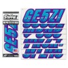 STIFFIE Techtron TT54 Boat PWC Letter Number Decal Registration SKY