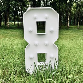 3FT/36 Inch Marquee Light up Numbers with White Lights,White Marquee Number 0-9 for Birthday Party Large Mosaic Frame Letter Cardboard Pre-Cut Foam Board Sign Diy Decorations Anniversary(8)