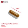 Protocol Ashwagandha 450mg - Immune Support, Ayurvedic Adaptogen - 90