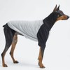 Lucky Petter Dog Cotton Shirts for Small and Large Dogs