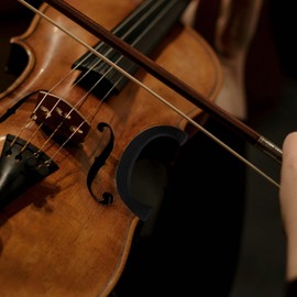 TOYANDONA Violin C-clip Protector Violin Waist Protector Violin Waist Side Plate Protector Violin Rubber Protector