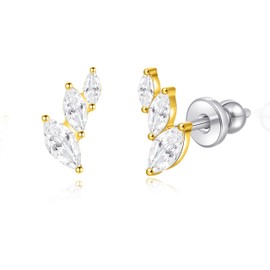 Limerencia Implant Grade Pure Titanium Studs, F136 Hypoallergenic G23 Small Dainty Cubic Zirconia Earrings for Women's Sensitive Ears(HKZ C)
