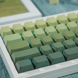 Side Print Keycaps 133 Keys Cherry Profile, PBTDoubleshot Gradient Keycap Set Fit for 60% 65% 95% Cherry Mx Switches Mechanical Keyboard