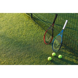 HEAD Ti. Reward Pre-Strung 27 in. Tennis Racquet, Red