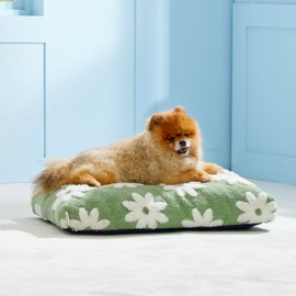Lesure Small Dog Beds-Thick Shredded Chopped Foam Pet Bed, Dog Bed Indoor with Removable Cover, Cute Modern Fuzzy Plush & Anti Slip Bottom(24'x16', Green)
