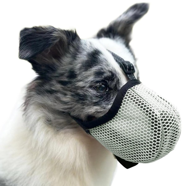Muzzle for Large Dogs, Prevent Chewing/Eating/Biting Dog Muzzle Breathable Reflective