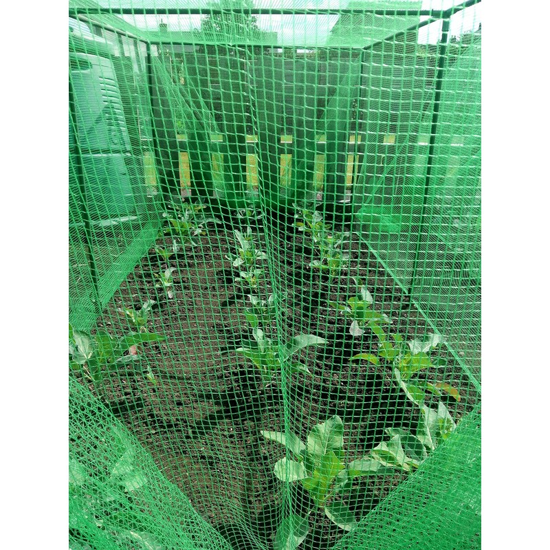 easynets Anti Butterfly Netting 2m Wide (2m x 5m) Free