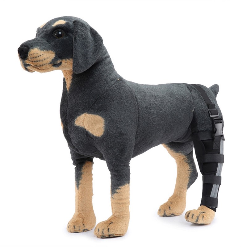 Dog Hind Leg Brace Stable Support Knee Pads Puppy Rear