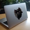 Black Cat Decal - Wall Hole Sticker with 3D Effect