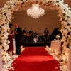 450GSM, 3ft x 20ft Red Carpet Runner for Party, Reusable
