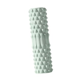 Perfeclan Foam Roller for Muscle Massage Textured Exercise Roller Portable Back Foam Roller Sports Massage Roller for Arm Legs Home Gym, Green