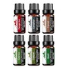 Essential Oils Set | Home Fragrance Oil Set - Scented